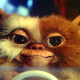 Mogwai!